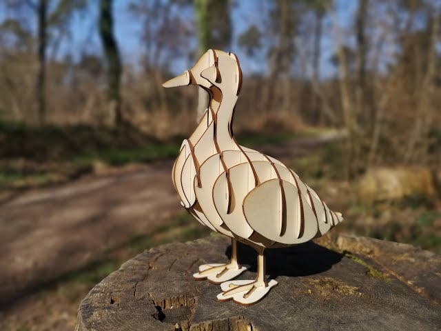 Wood Duck 3D Paper Craft Model - Bird Watching Academy