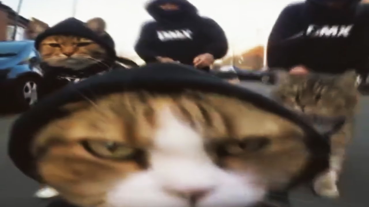 【重低音】最強フォンクメドレー🔥聴くだけでモチベMAXになれる！#phonk