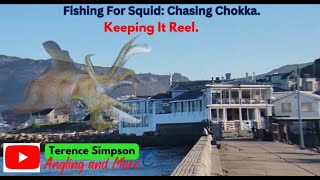 Fishing For Squid: Chasing Chokka