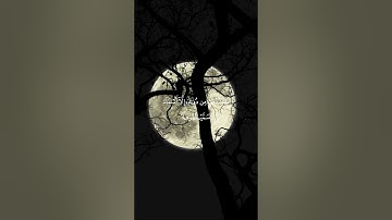 القارئ معاذ العيد - سورة يوسف 🌿