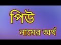 regular verb list with bangla meaning explained in Bengali ...