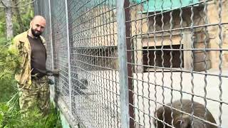 Пока девчонки принимают Анфису в семью, Денис отвлекает Степу чтобы не мешал❤️