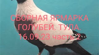 картинка: ТУЛА.   СБОРНАЯ ЯРМАРКА ГОЛУБЕЙ ЧАСТЬ 2