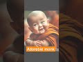 #adorable monk #mink #reels #shortvideo #youtubeshorts