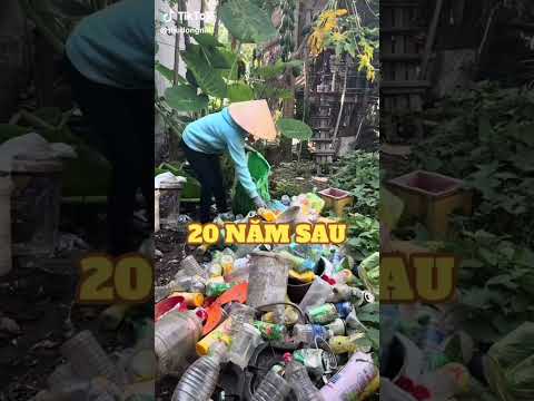 ngày 11 tháng 7, 2026