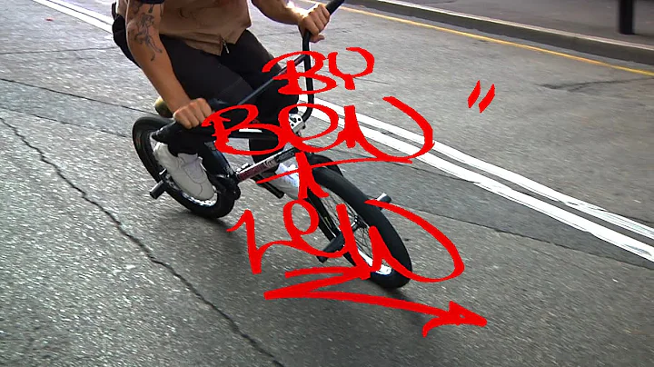 LEW IS FIENDING - FIEND BMX