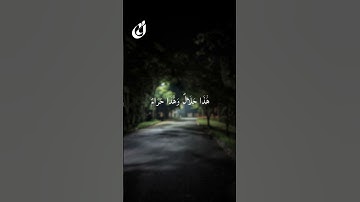 #قرآن #قران_كريم #محمد_صديق_المنشاوي #سورة_النحل
