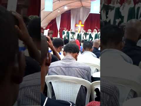 Gulallee Afaan Oromoo A Choir
