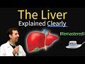 Liver explained function pathology diseases  cirrhosis