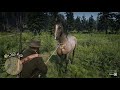 Всадник 10 Укротите все виды диких лошадей 🐴 RDR2