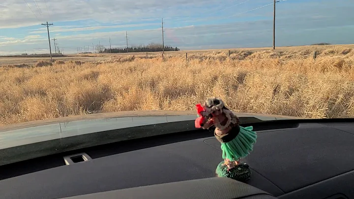 West Osterberg homestead pasture tour part 1