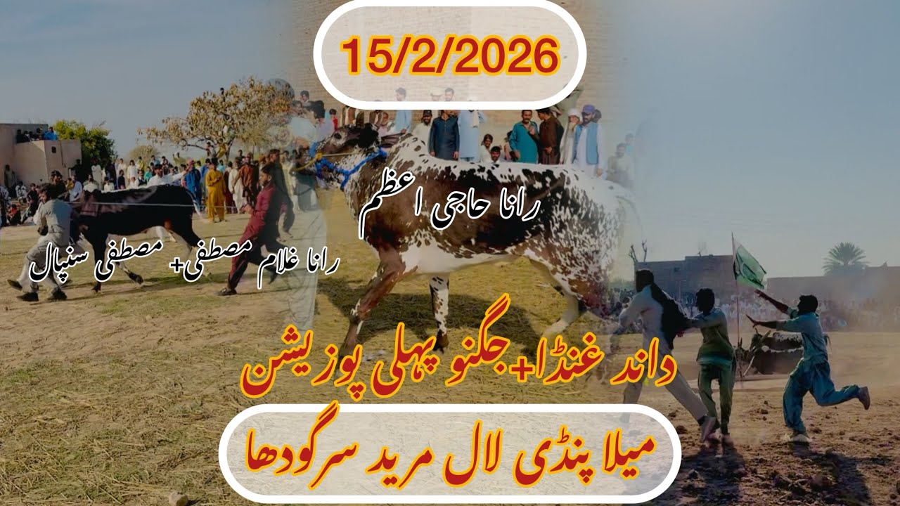 15/2/2026 New Bull Race Jalsa Sargodha ونرجوگ غنڈا+جگنو میلا پنڈی لال مرید سرگودھا 
