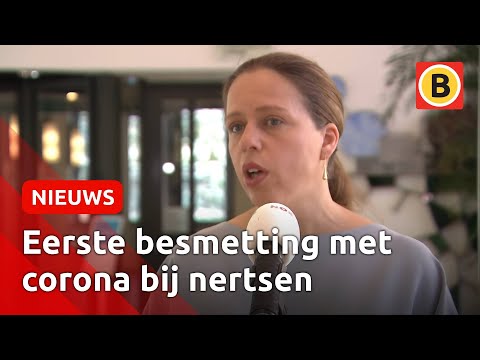Het is de eerste keer dat het coronavirus wordt aangetroffen op een dierhouderij in Nederland