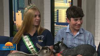 Celebrity The Great Geauga County Fair on NDC Net Worth