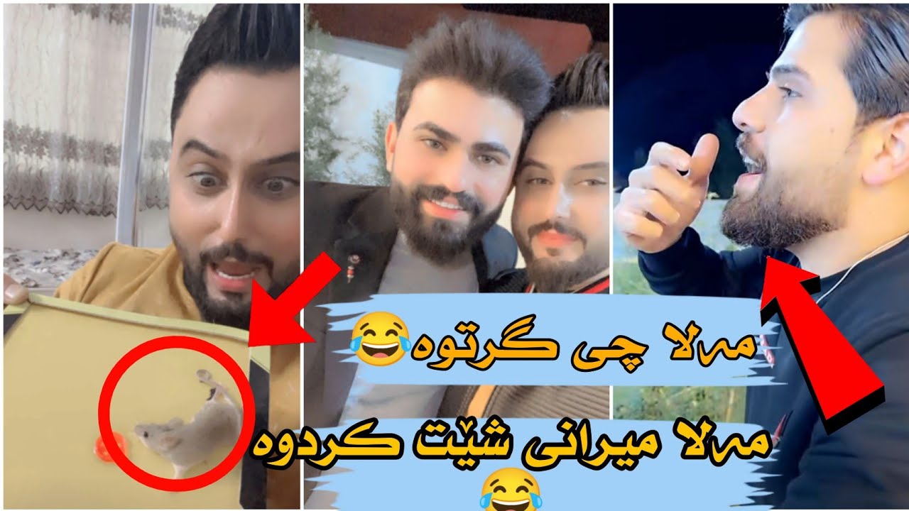 مەلا قاتیل میرانی شێت کرد ، سەیری شێرۆ چی لە حەمە خۆرانی و سەرۆ ئەکا😂😂