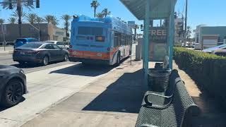 OCTA Gillig short ride on route 37