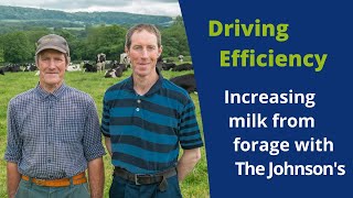 Driving profit on farm by increasing your milk from forage | ForFarmers