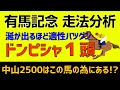 有馬記念2022ドンピシャ走法１頭！「中山2500Mはこの馬のためにあるのか！？」
