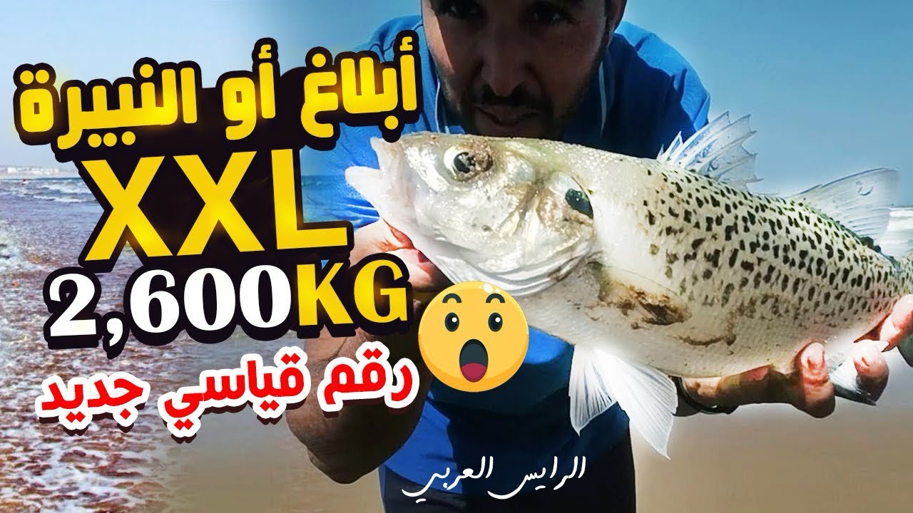 صيد سمك درعي و إبلاغ ليح البيض حصيلة متواضعة رفقة الرايس حسن