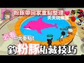 【天天玩樂園】粉色海豚：如何大大提升釣到粉豚機率 私藏方法 #天天修樂園