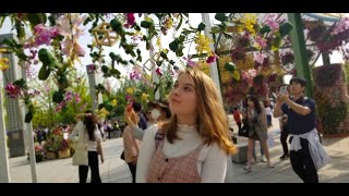 Goyang International Flower Festival
