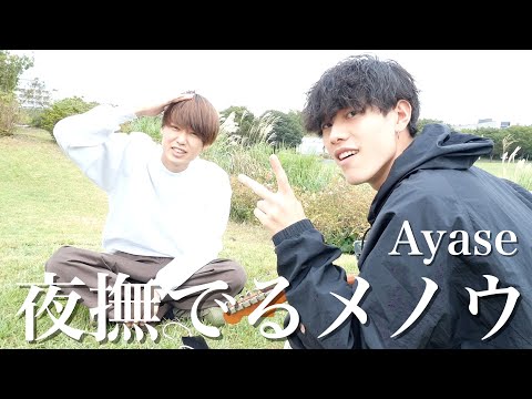 夜撫でるメノウ/Ayase【カンクロウcover】
