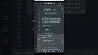 Understanding package.json | The Heart of Every React Project #react #package.json #webdev #maheshit
