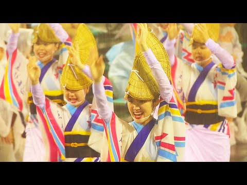 美しすぎる阿波踊り 台風の土砂降りの中でずぶ濡れで踊るゑびす連に感動 ２０２３年８月１４日