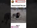 Cecil The Lion Story । Facts Phylum। #lion #animals #shorts