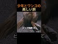 少年とワンコの美しい旅