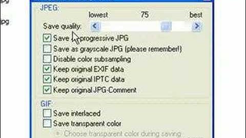 How To Resize Photos Using IrfanView