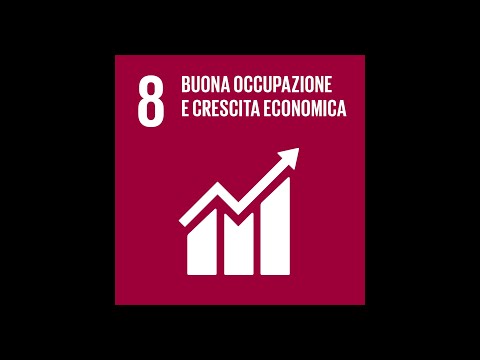 Video: Quali sono gli 8 obiettivi dell'economia?