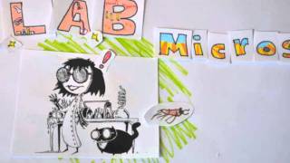 Antarctic Krill Winter Adventure By Molly Jia Zhongnan.mov