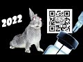 Новая вакцина для кроликов 2022