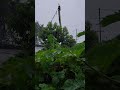 Spending vacation watching rain in Nepal