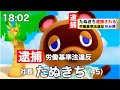 【あつ森ニュース#5】しずえ労働基準法に違反。たぬきち逮捕