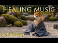 Dog Healing Music 💚 528Hz Calm for Recovery &amp; Rest