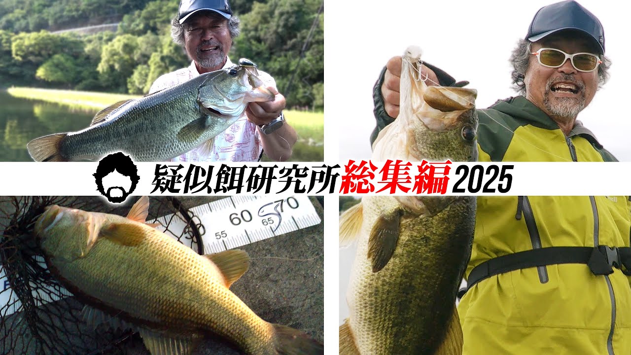 【疑餌研 2025 総集編】たくさんのご視聴ありがとうございました。お時間あれば見てね！