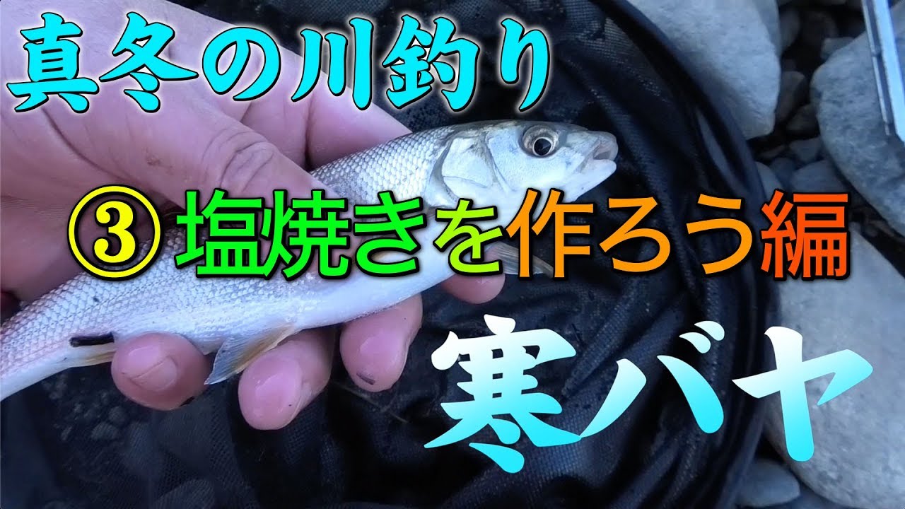 真冬の川で美味しい魚を釣ろう３ 寒バヤ塩焼き Youtube