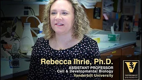 Rebecca Ihrie Research Overview  Brain Tumors