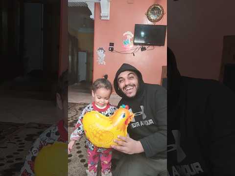 قطه تأكل دجاجة 