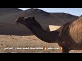 شيلة حرق جوف و ستر الهنوف طرررب بطئ  4
