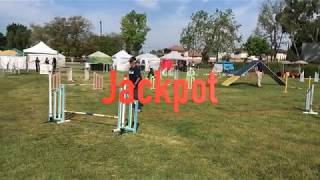 How to Play the CPE Game of Jackpot