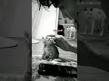 подпишись на меня😭😭😭😭😭😭😭