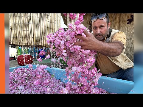 نمایشگاه گلابگیری و سوغات دهکده المپیک تهران