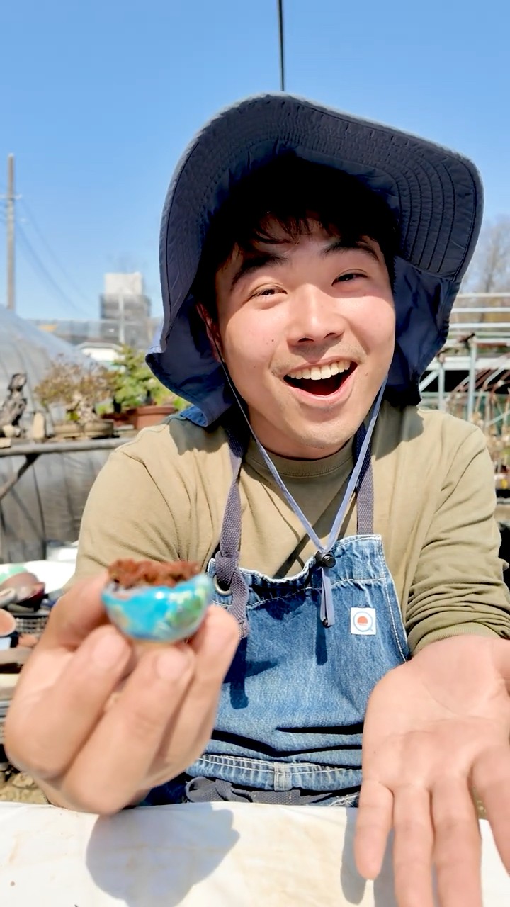 エイザンゴケを古本正志の豆鉢に植え替える【盆栽Q】 - YouTube
