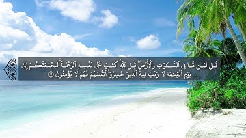 كتب ربكم على نفسه الرحمة ❤ سورة الأنعام التي تخلع القلب.