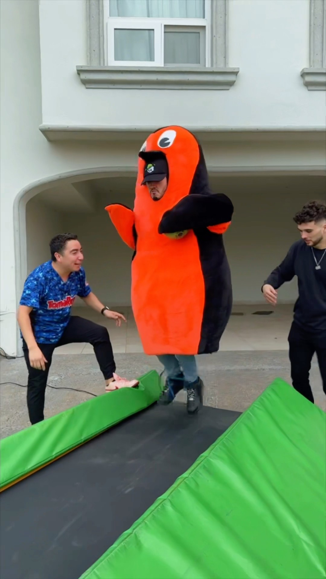 EL PINGÜINO QUE META LA PELOTA GANA??