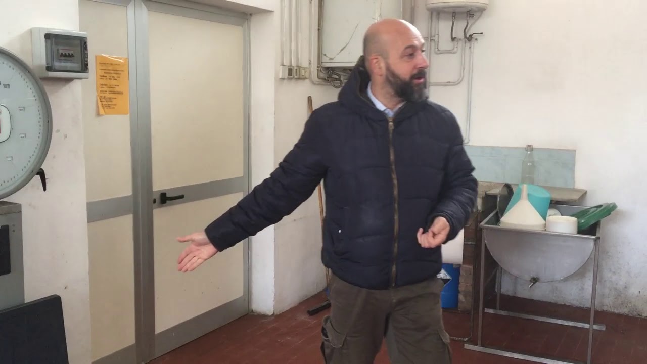 Private experiential tours to Tuscan olive oil mill