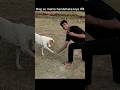 Dog se maine handshake kiya 🫶🏻 #cute #dog #doglove #dogshorts #youtube #shorts